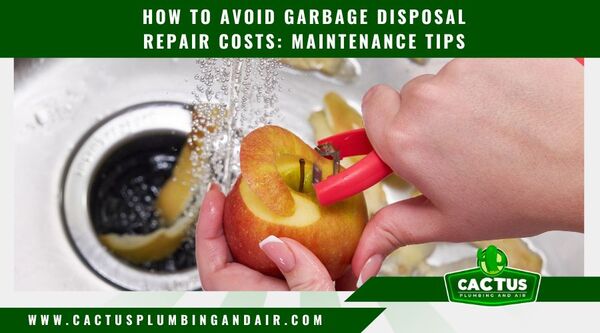 Avoid Garbage Disposal Repair Costs Plumbing Services Gilbert