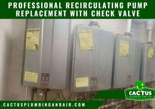 Professional Recirculating Pump Replacement with Check Valve
