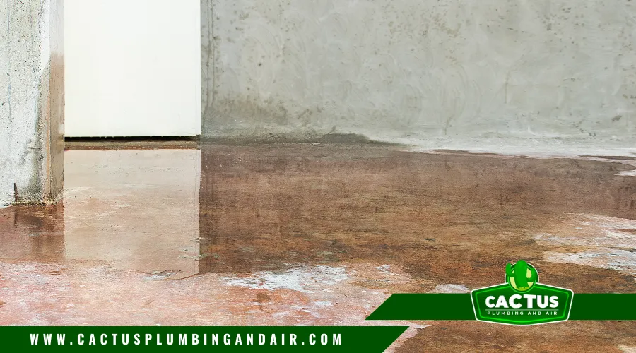 Standing sewage water in basement due to backup