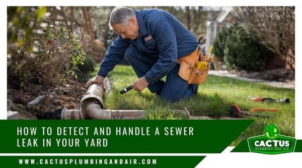 sewer leak