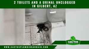 Unclogging 2 Toilets and a Urinal in Gilbert, AZ - Cactus Plumbing and Air - Cactus Plumbing and Air Unclogging 2 Toilets and a Urinal in Gilbert, AZ