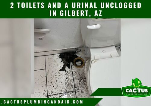 Unclogging 2 Toilets and a Urinal in Gilbert, AZ
