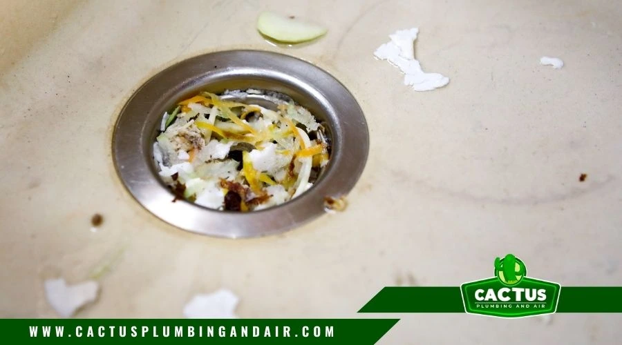 Food debris clogging a sink drain