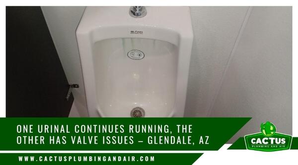 Cactus Plumbing and Air